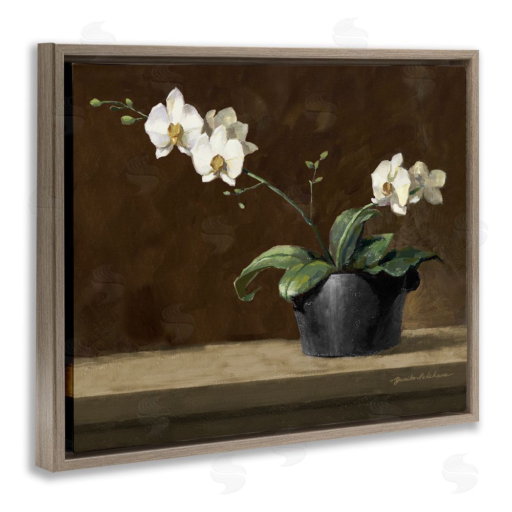 Yumiko Ichikawa Potted White Orchid on Ledge Brown Floating Frame Canvas Wall Art Print