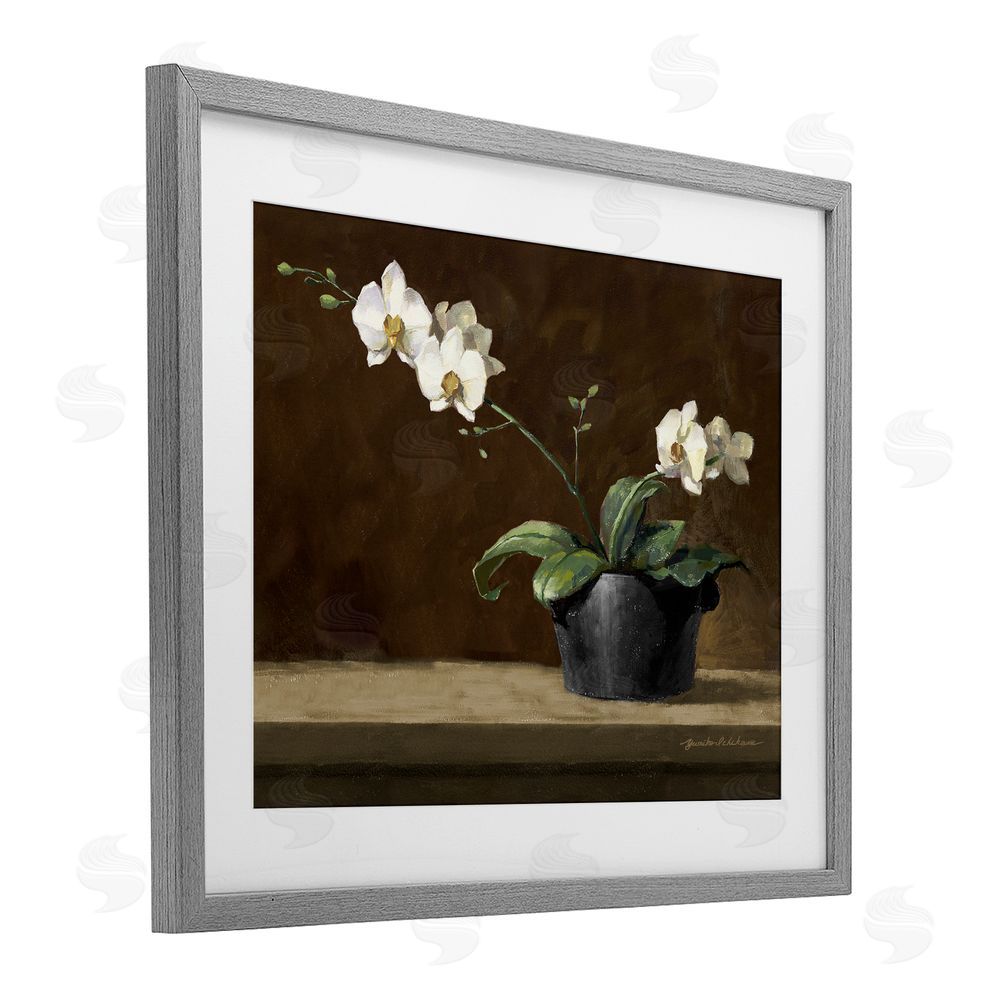 Yumiko Ichikawa Potted White Orchid on Ledge Gray Framed Print Under Glass Wall Art
