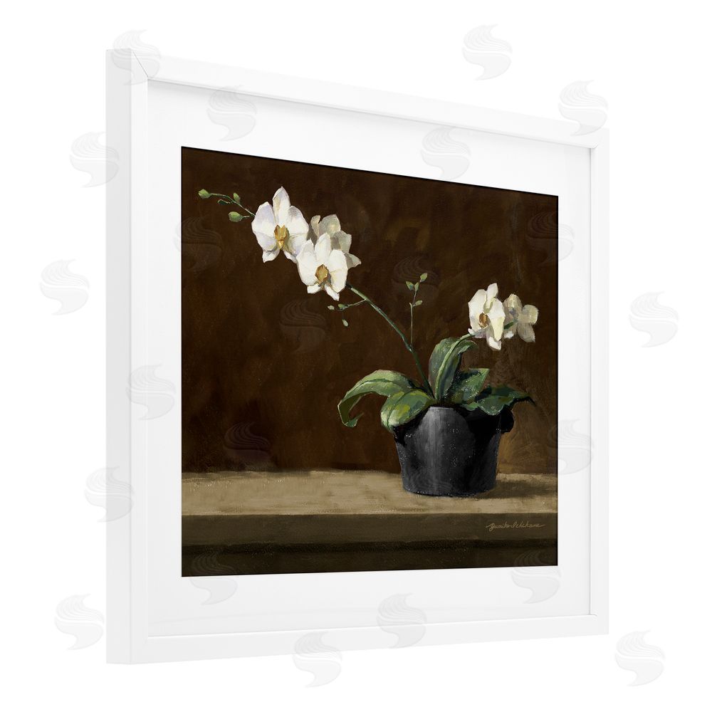 Yumiko Ichikawa Potted White Orchid on Ledge White Framed Print Under Glass Wall Art