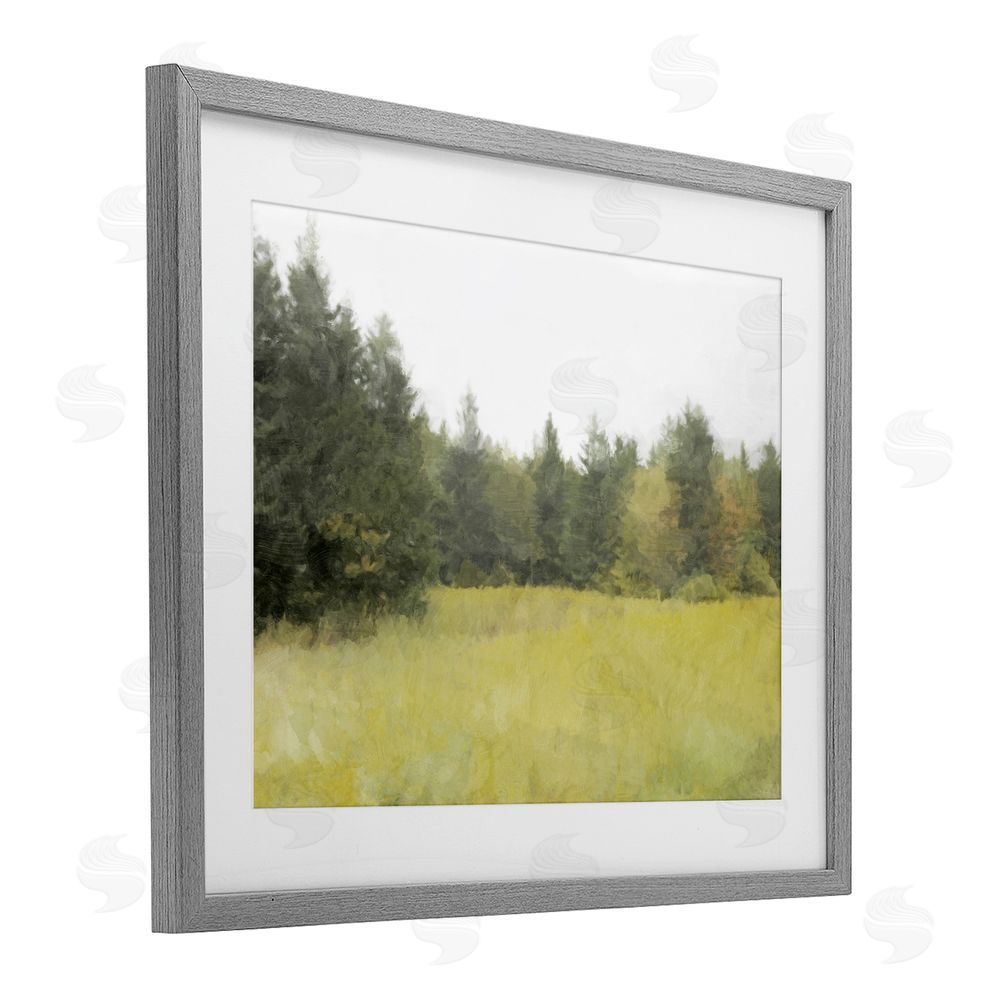 Kim Curinga The Forest's Vast Clearing Gray Framed Print Under Glass Wall Art