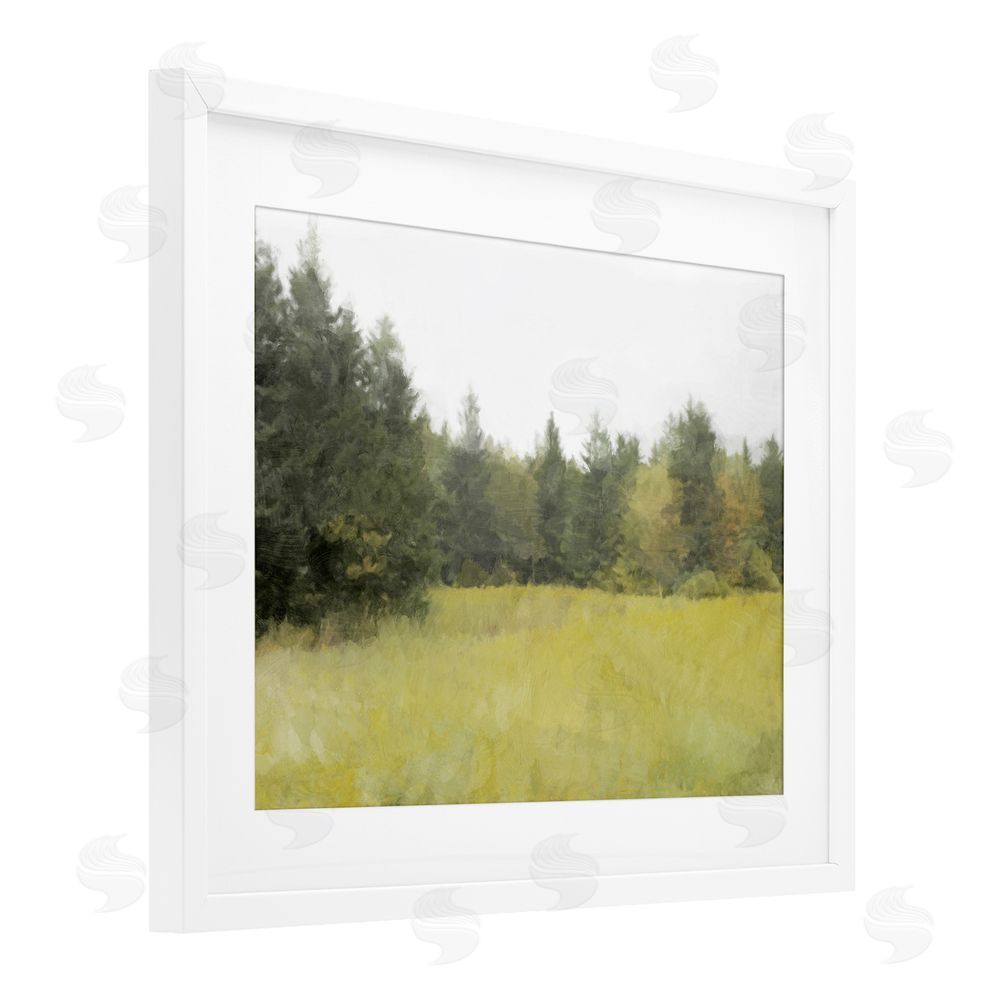 Kim Curinga The Forest's Vast Clearing White Framed Print Under Glass Wall Art