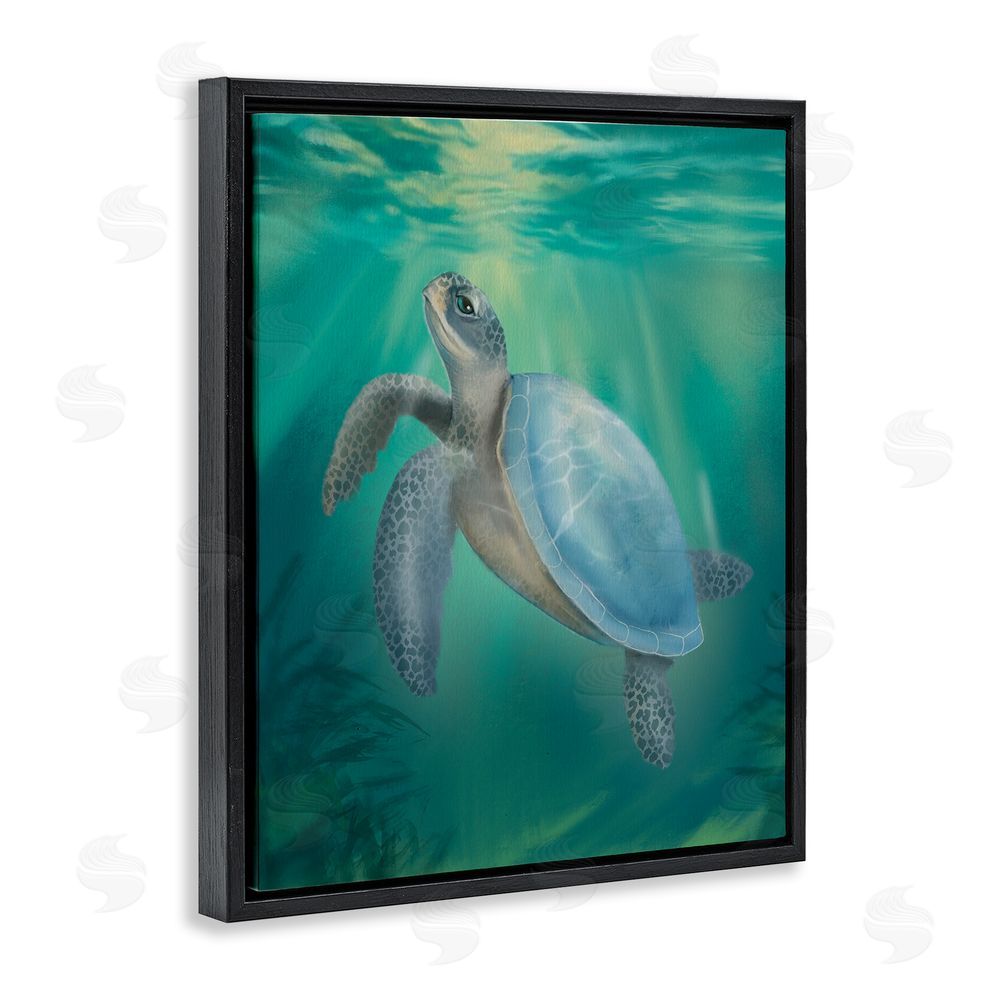 Matthew Piotrowicz Coastal Beach Sea Turtle Black Floating Frame Canvas Wall Art Print