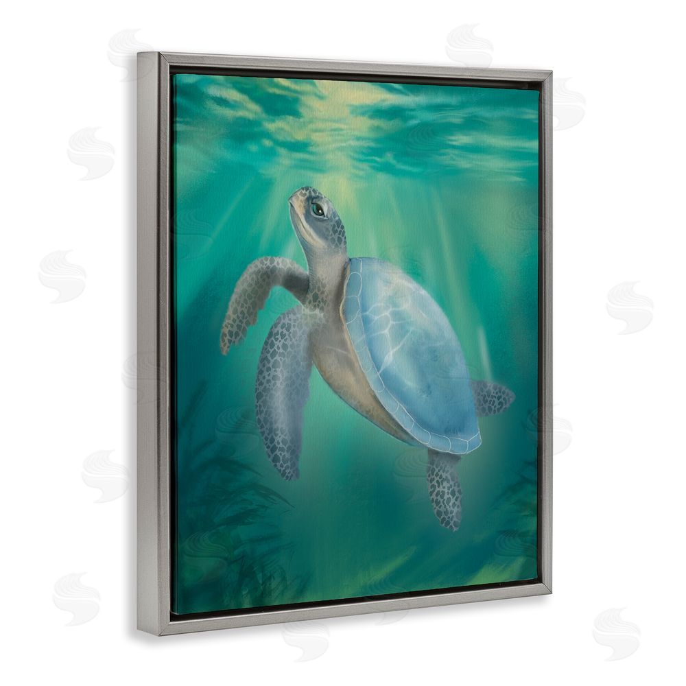 Matthew Piotrowicz Coastal Beach Sea Turtle Gray Floating Frame Canvas Wall Art Print