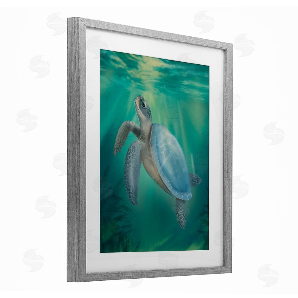 Matthew Piotrowicz Coastal Beach Sea Turtle Gray Framed Print Under Glass Wall Art