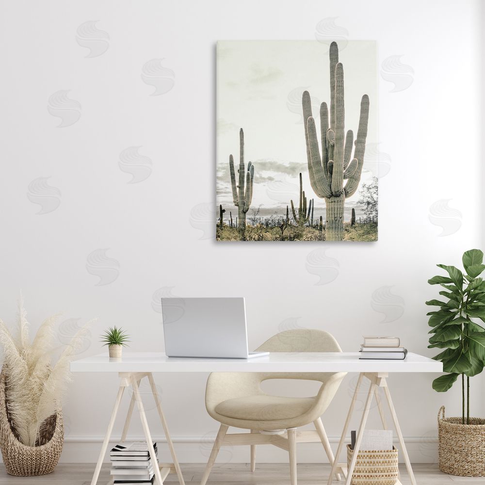 Kim Allen Subdued Desert Cacti 