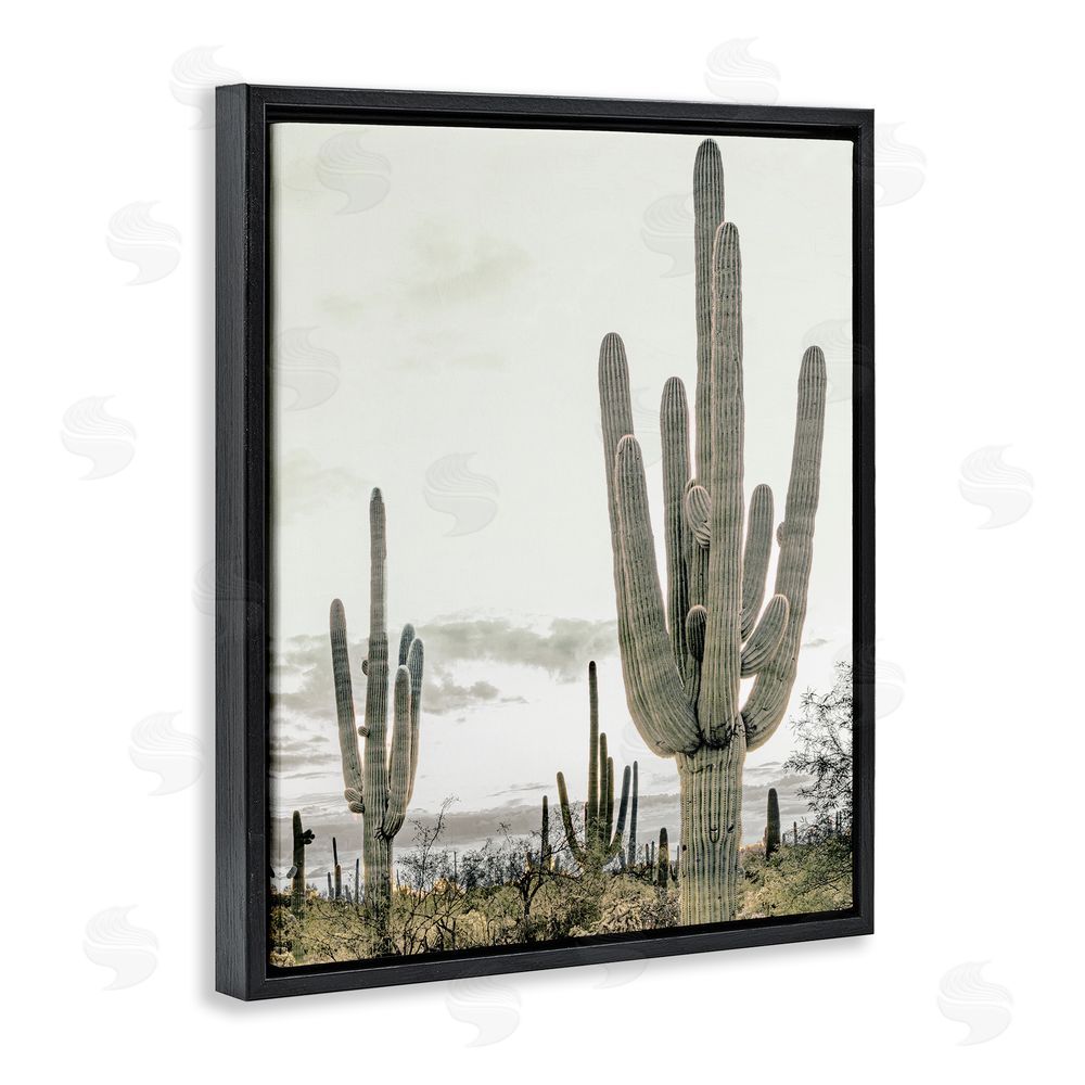 Kim Allen Subdued Desert Cacti Black Floating Frame Canvas Wall Art Print