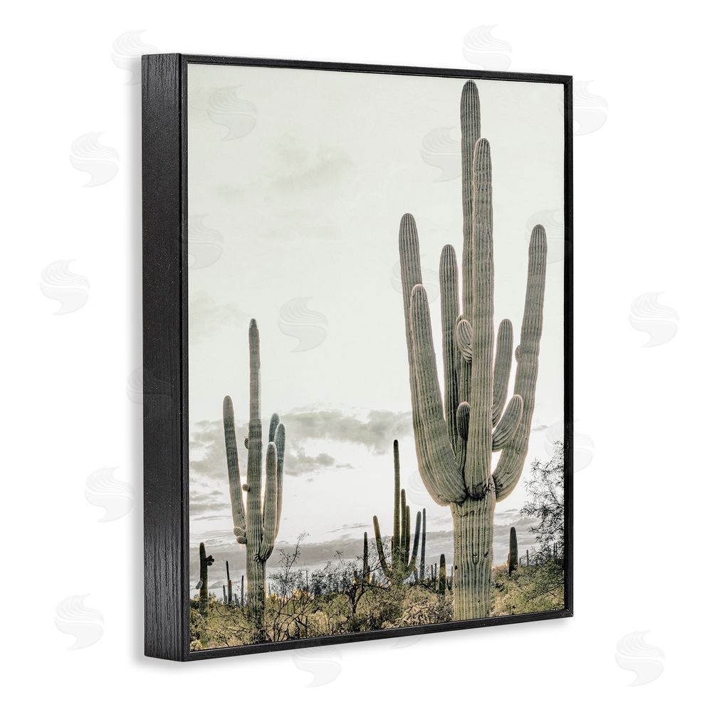 Kim Allen Subdued Desert Cacti Black Framed Giclee Wall Art Print