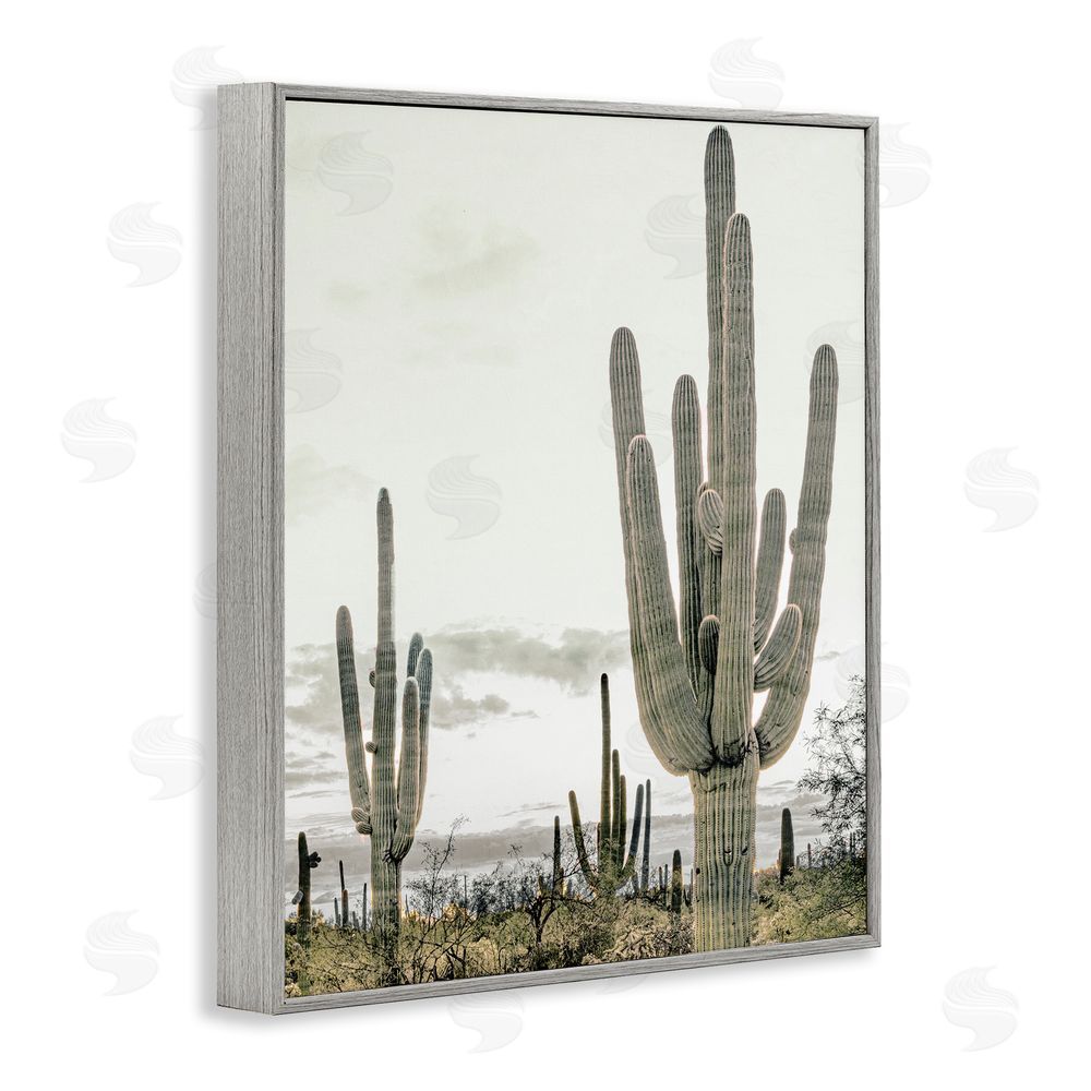 Kim Allen Subdued Desert Cacti Gray Framed Giclee Wall Art Print