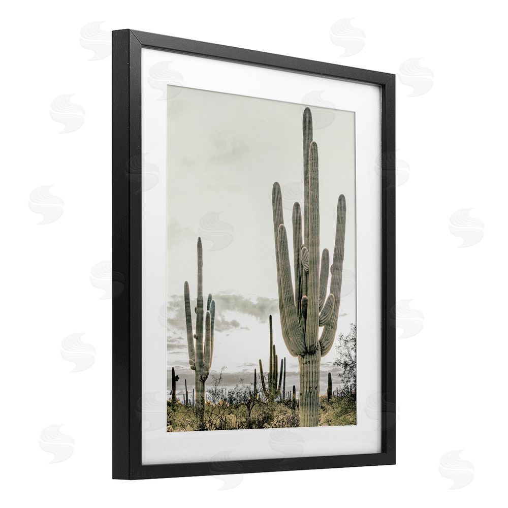 Kim Allen Subdued Desert Cacti Black Framed Print Under Glass Wall Art