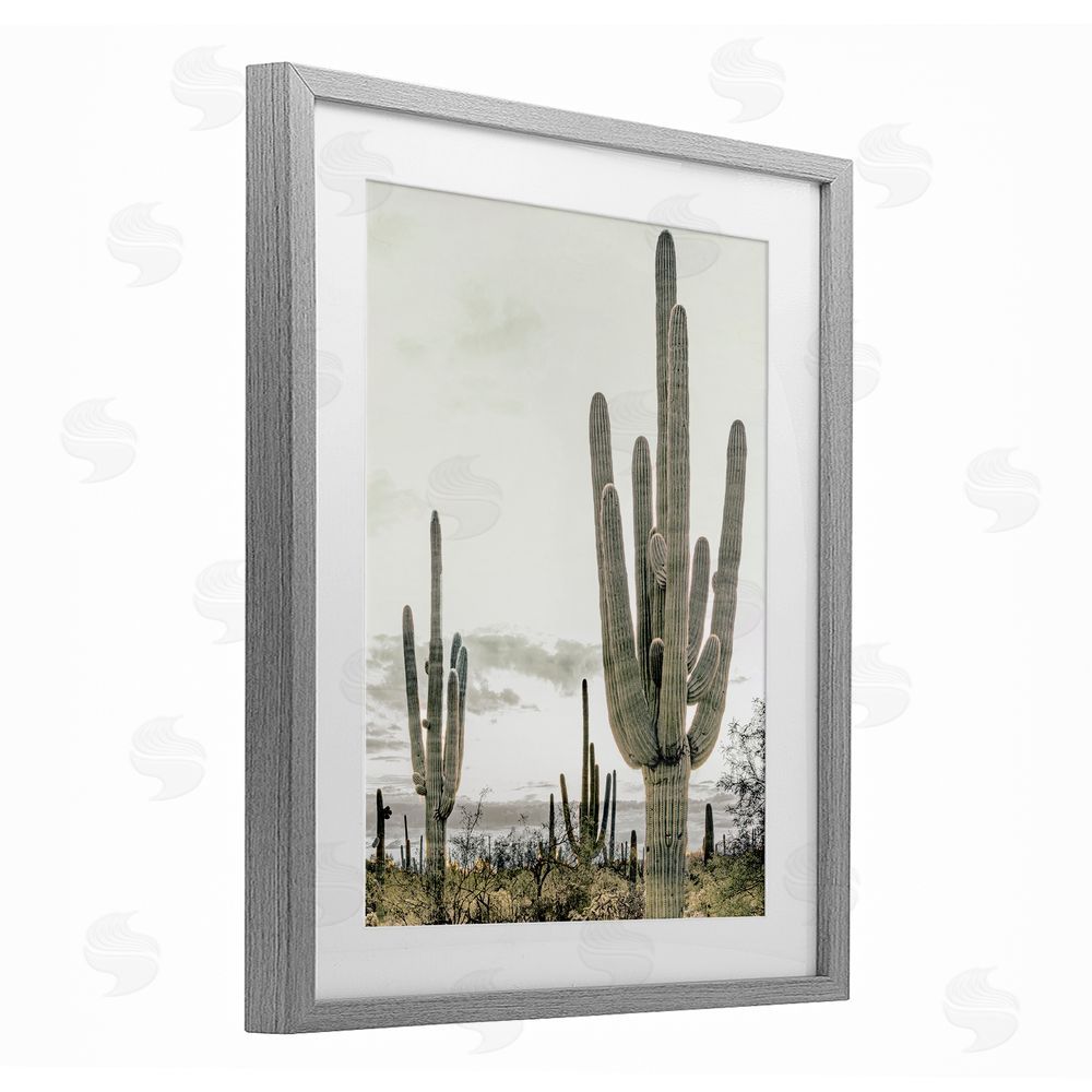Kim Allen Subdued Desert Cacti Gray Framed Print Under Glass Wall Art