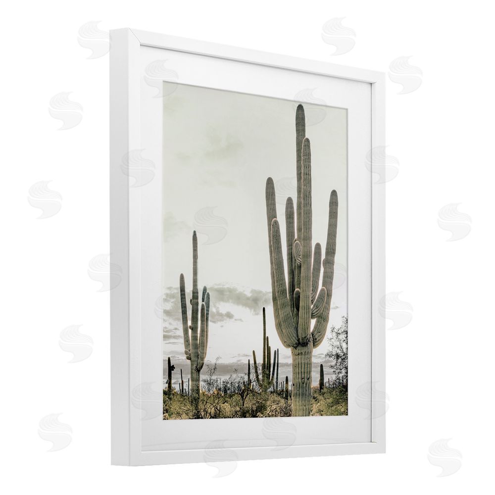 Kim Allen Subdued Desert Cacti White Framed Print Under Glass Wall Art
