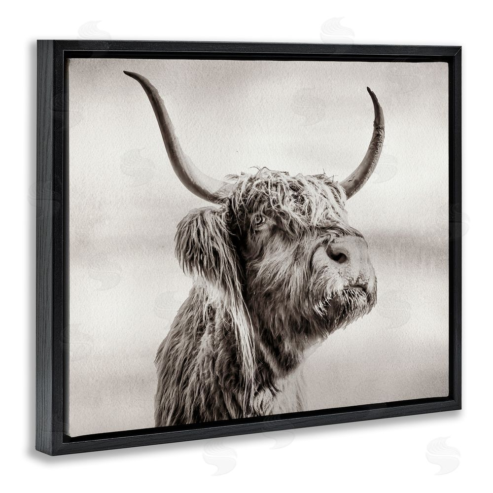 Julia Frost Horned Highland Cow Gazing Black Floating Frame Canvas Wall Art Print