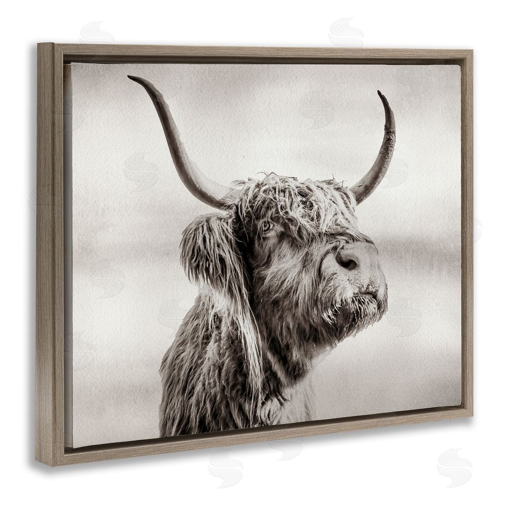 Julia Frost Horned Highland Cow Gazing Brown Floating Frame Canvas Wall Art Print