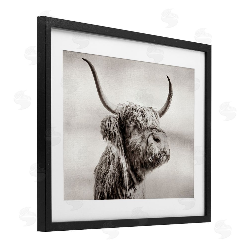 Julia Frost Horned Highland Cow Gazing Black Framed Print Under Glass Wall Art