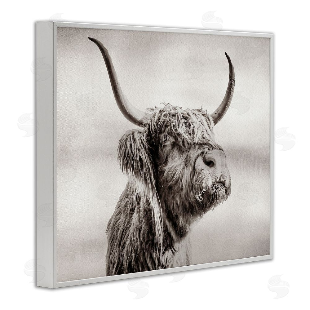 Julia Frost Horned Highland Cow Gazing White Framed Giclee Wall Art Print