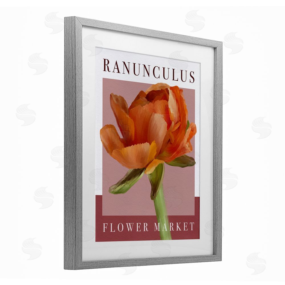 Jennifer Stith Ranunculus Flower Market Gray Framed Print Under Glass Wall Art