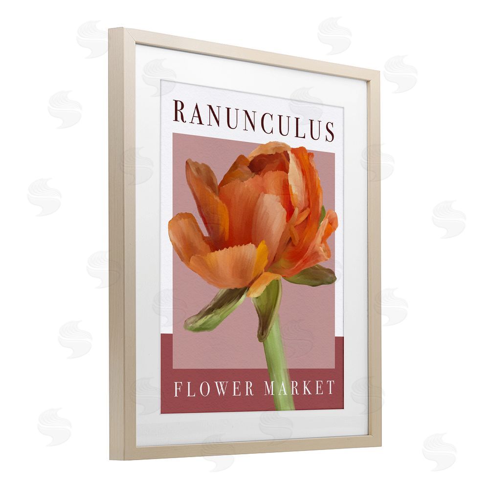 Jennifer Stith Ranunculus Flower Market Brown Framed Print Under Glass Wall Art
