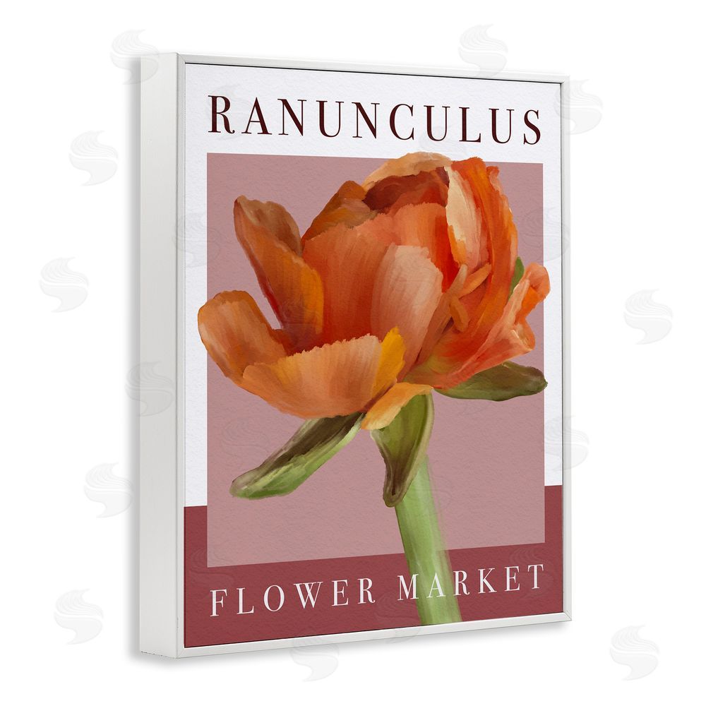 Jennifer Stith Ranunculus Flower Market White Framed Giclee Wall Art Print