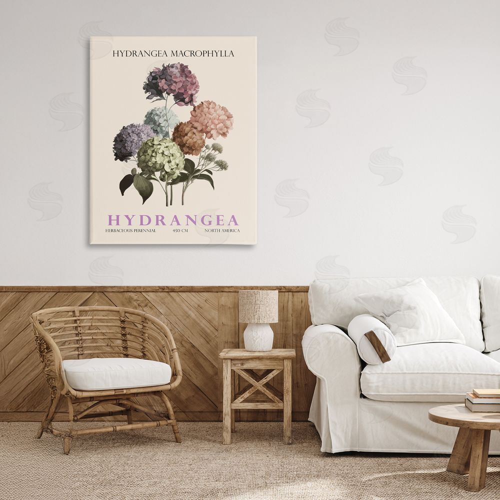 Christopher Giampietro Nature Hydrangea Bundle Stretched Canvas Wall Art in Room