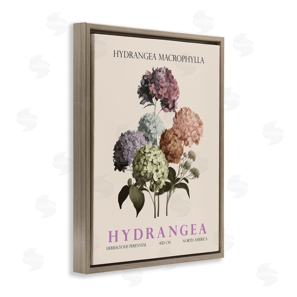Christopher Giampietro Nature Hydrangea Bundle Brown Floating Frame Canvas Wall Art Print
