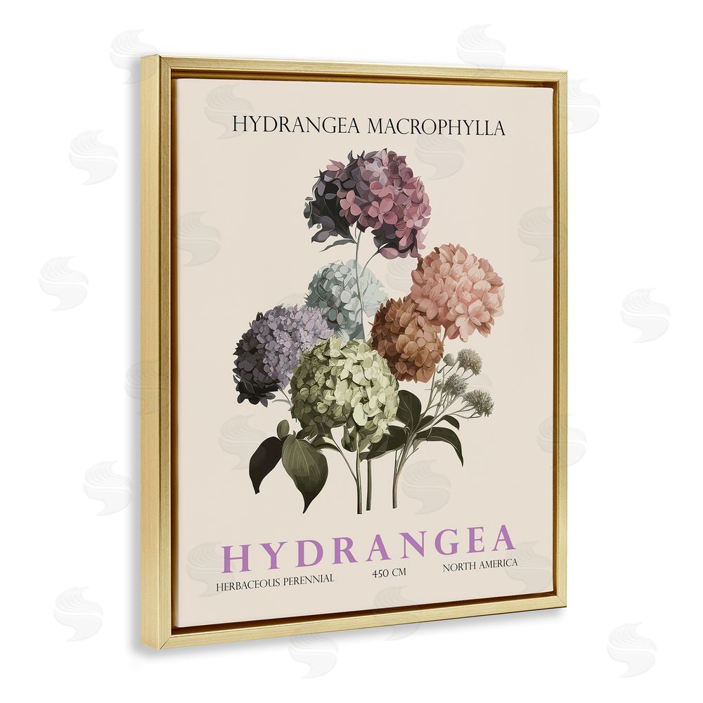 Christopher Giampietro Nature Hydrangea Bundle Gold Floating Frame Canvas Wall Art Print