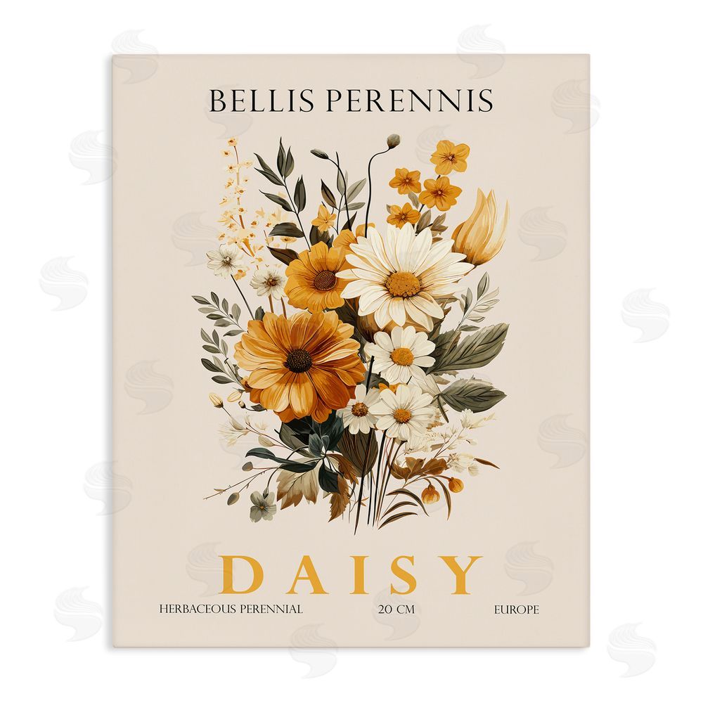 Christopher Giampietro Nature Daisy Bundle Stretched Canvas Wall Art