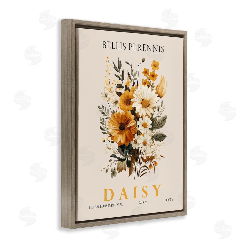 Christopher Giampietro Nature Daisy Bundle Brown Floating Frame Canvas Wall Art Print