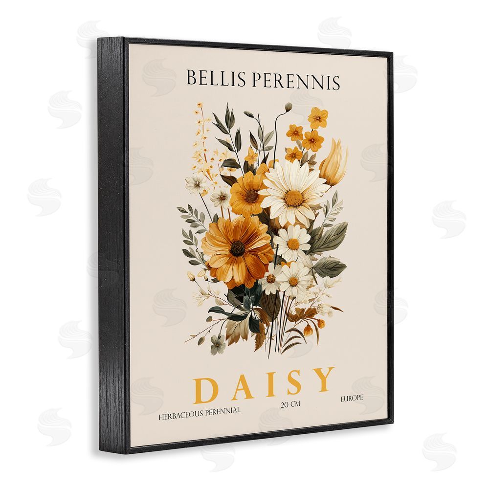 Christopher Giampietro Nature Daisy Bundle Black Framed Giclee Wall Art Print