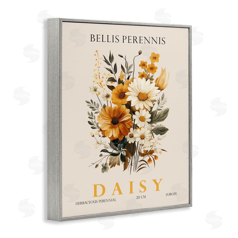 Christopher Giampietro Nature Daisy Bundle Gray Framed Giclee Wall Art Print