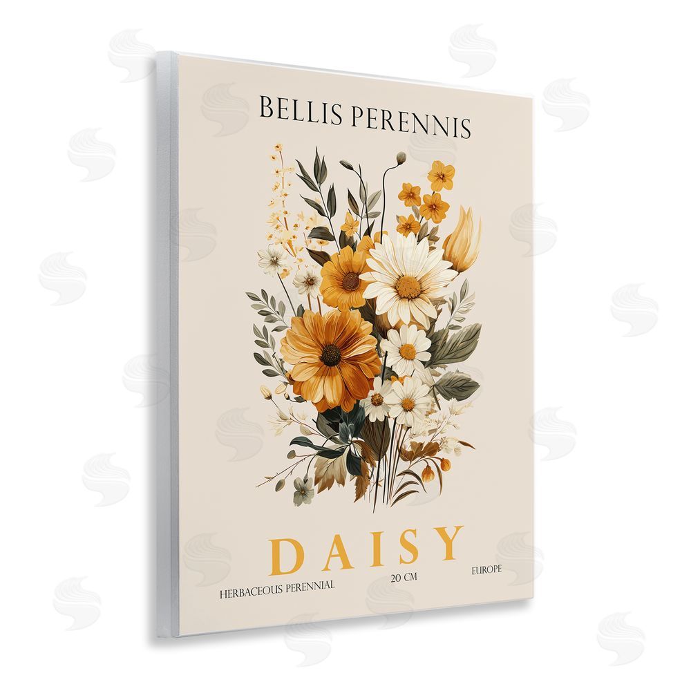 Christopher Giampietro Nature Daisy Bundle Wall Plaque Art Print