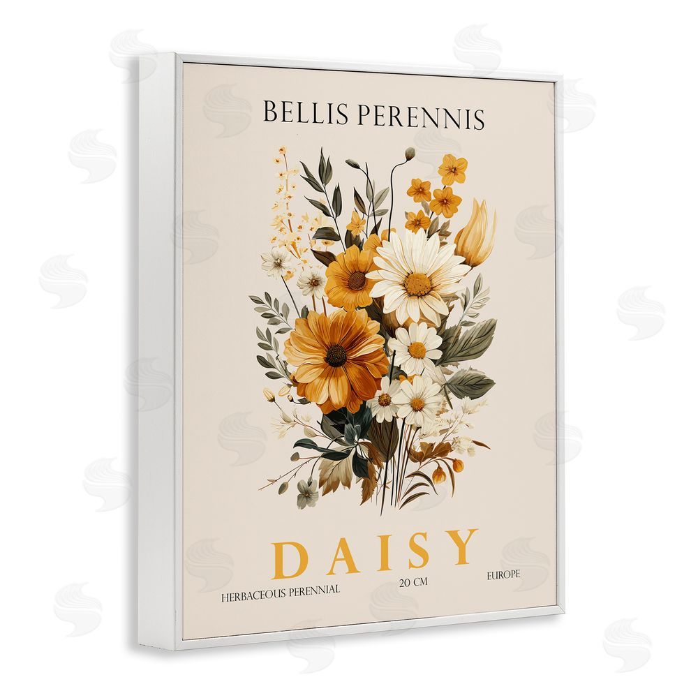Christopher Giampietro Nature Daisy Bundle White Framed Giclee Wall Art Print