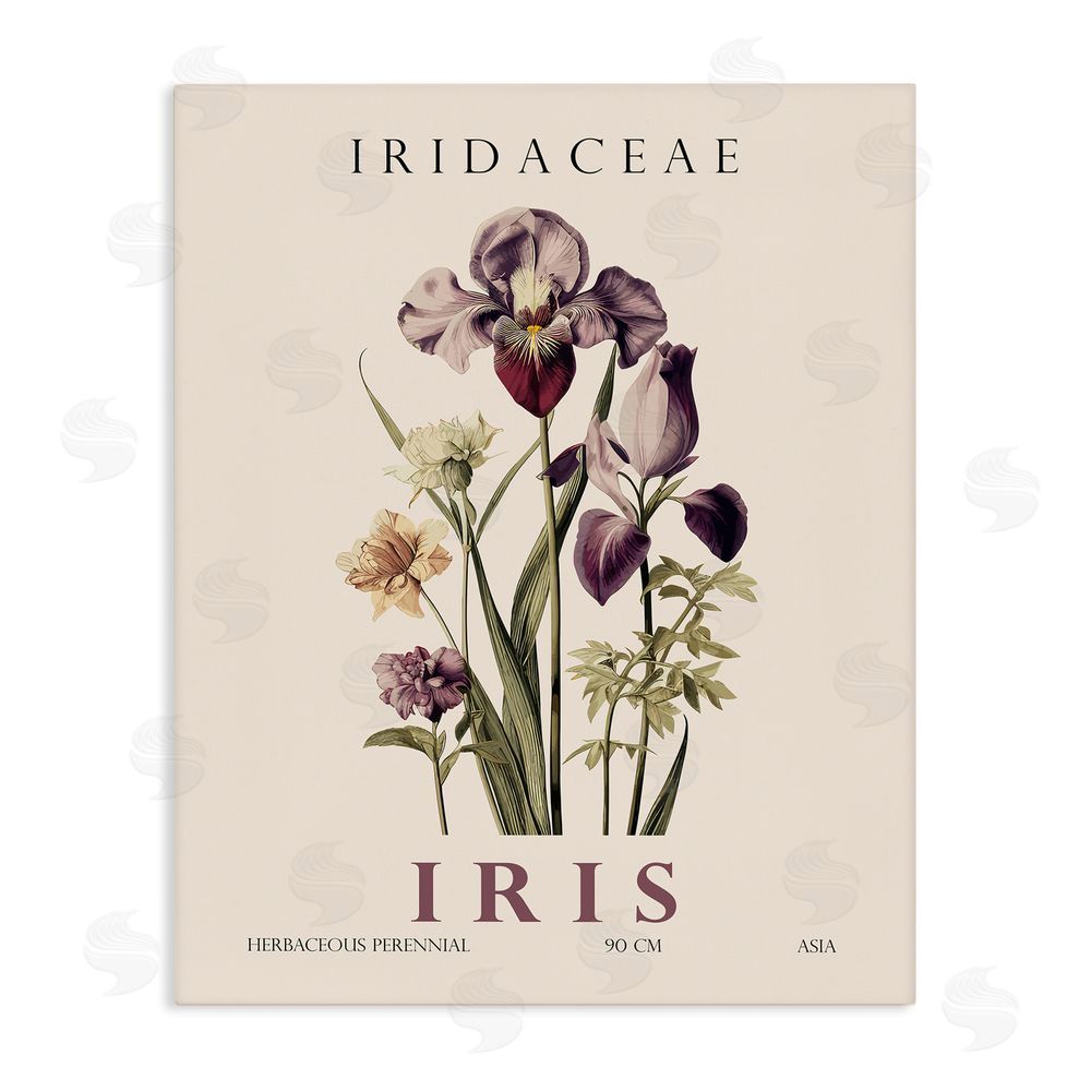 Christopher Giampietro Natural Iris Bundle Stretched Canvas Wall Art