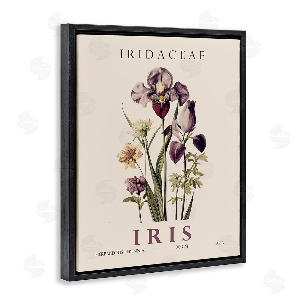 Christopher Giampietro Natural Iris Bundle Black Floating Frame Canvas Wall Art Print