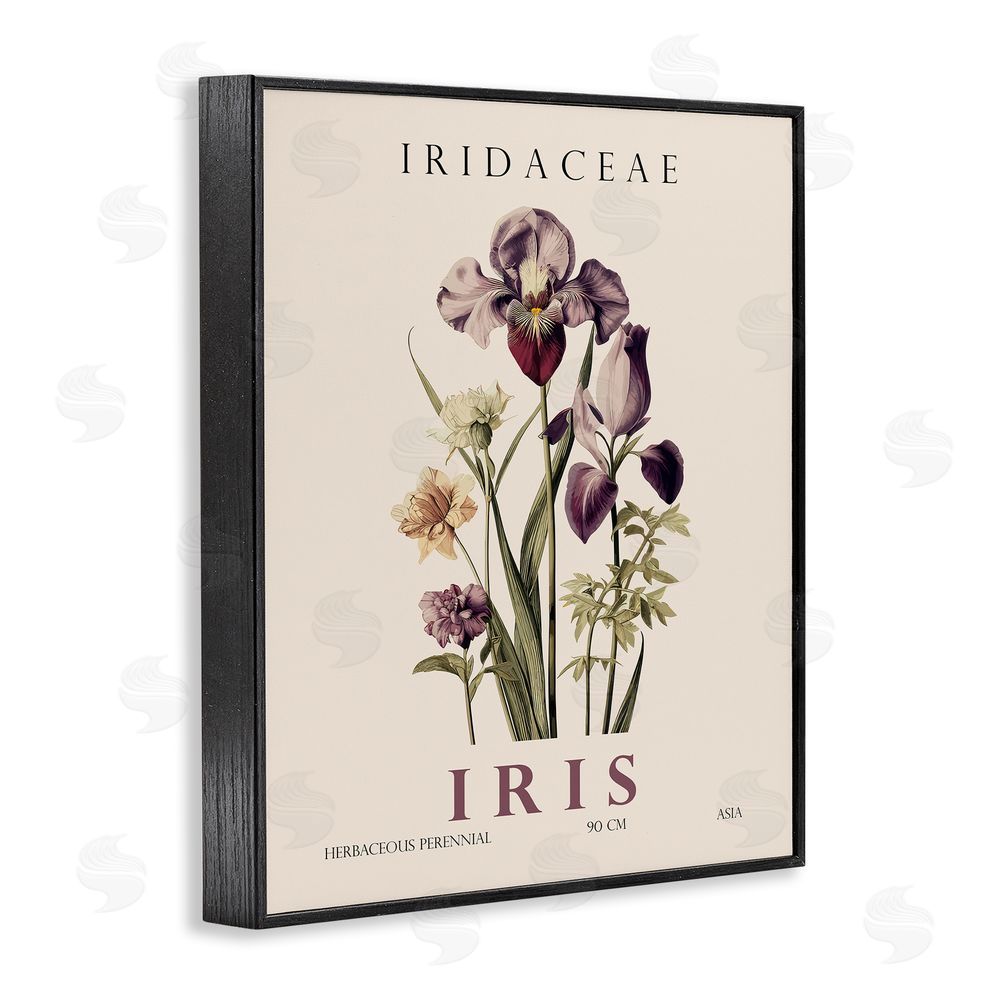 Christopher Giampietro Natural Iris Bundle Black Framed Giclee Wall Art Print