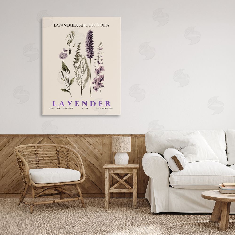 Christopher Giampietro Natural Lavender Bundle Stretched Canvas Wall Art in Room