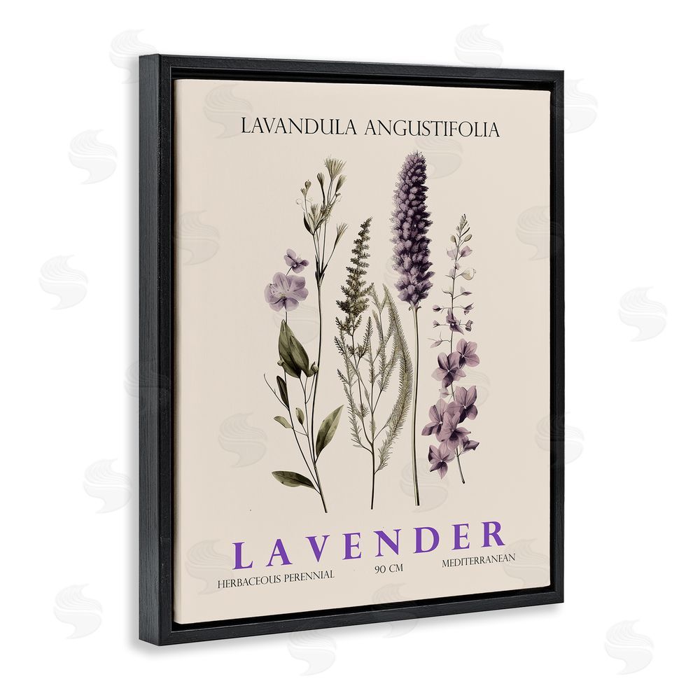 Christopher Giampietro Natural Lavender Bundle Black Floating Frame Canvas Wall Art Print