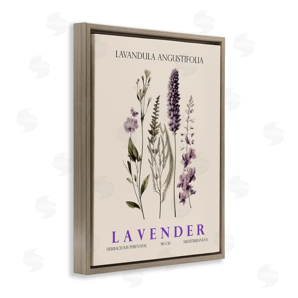 Christopher Giampietro Natural Lavender Bundle Brown Floating Frame Canvas Wall Art Print