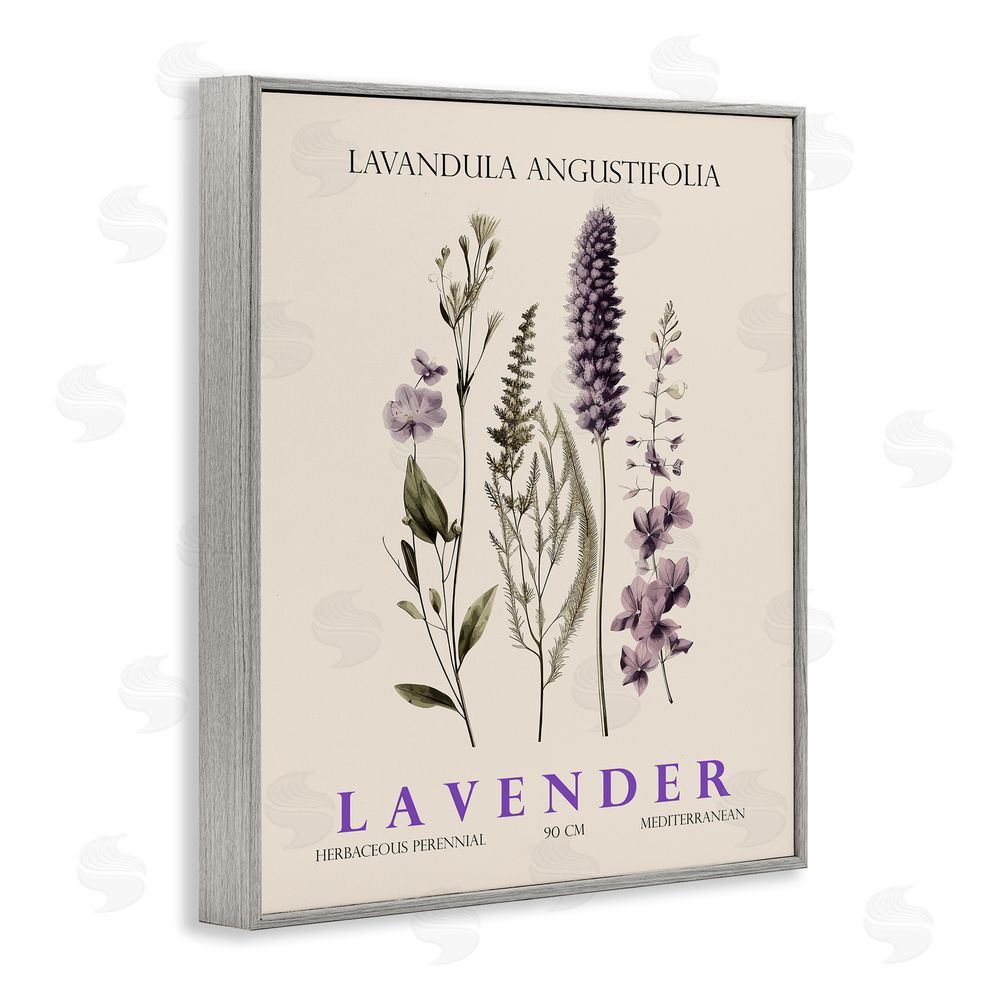Christopher Giampietro Natural Lavender Bundle Gray Framed Giclee Wall Art Print