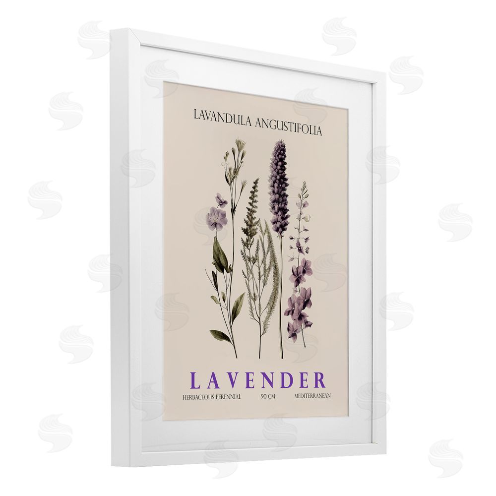 Christopher Giampietro Natural Lavender Bundle White Framed Print Under Glass Wall Art