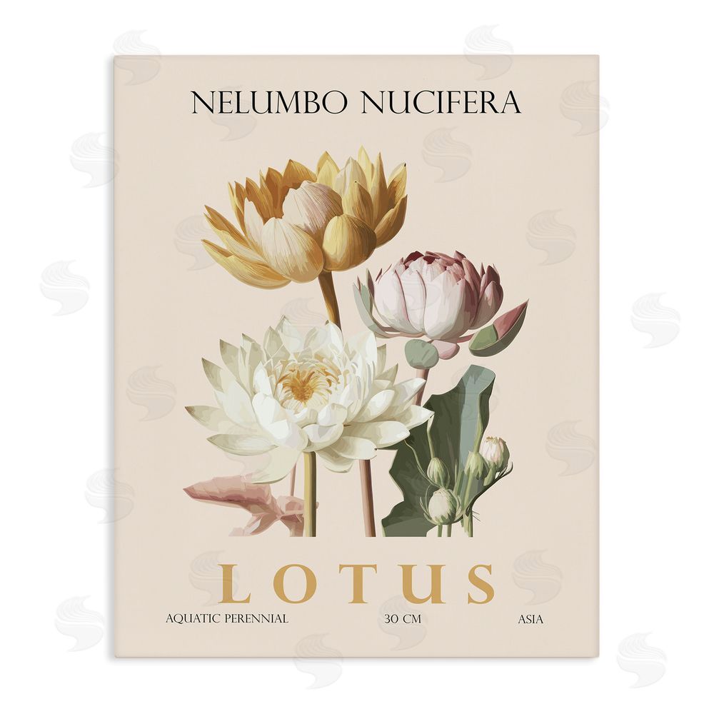 Christopher Giampietro Natural Lotus Bundle Stretched Canvas Wall Art
