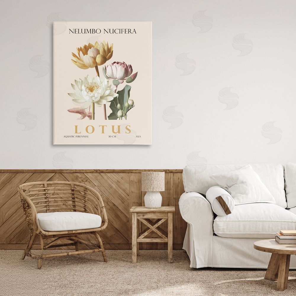 Christopher Giampietro Natural Lotus Bundle Stretched Canvas Wall Art in Room