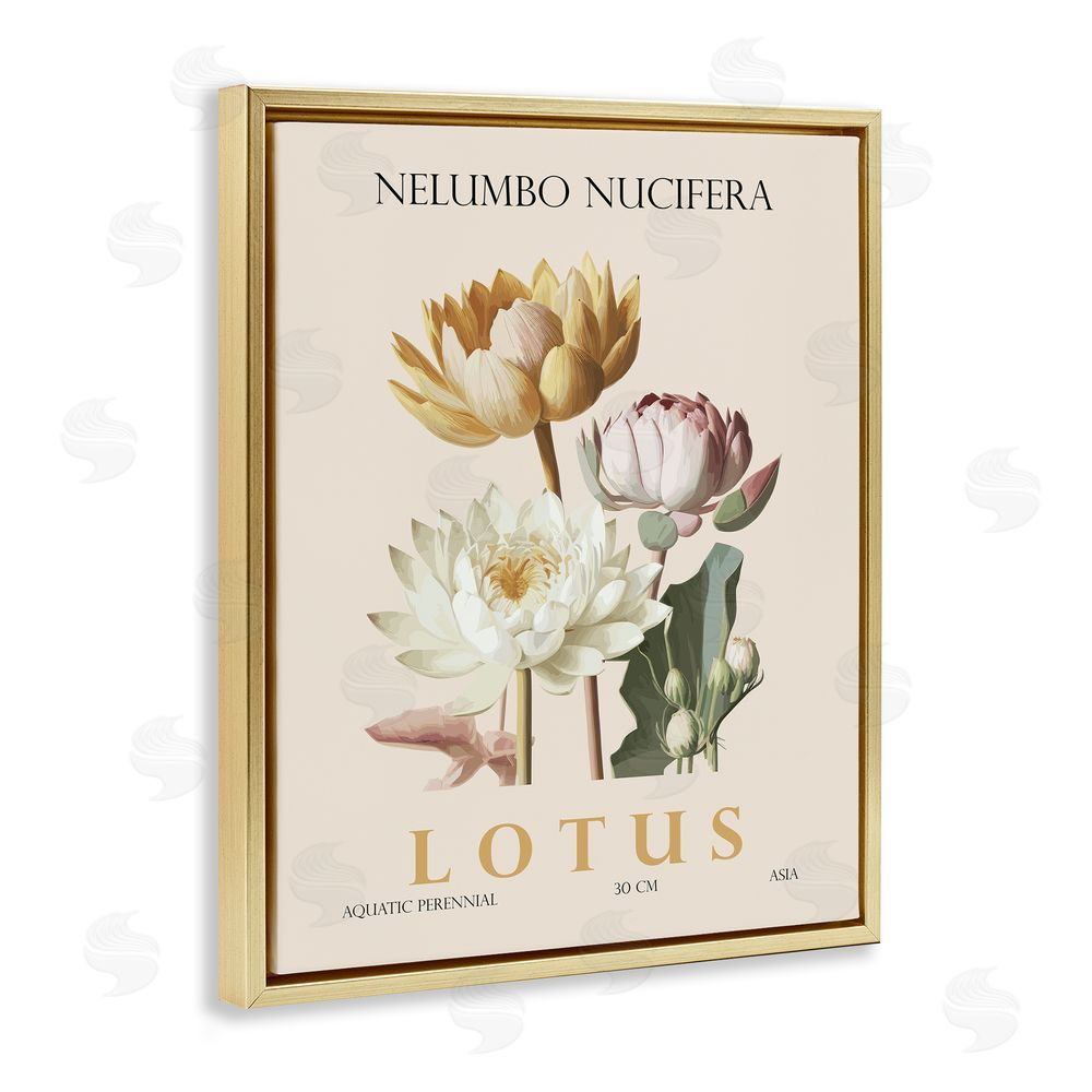 Christopher Giampietro Natural Lotus Bundle Gold Floating Frame Canvas Wall Art Print