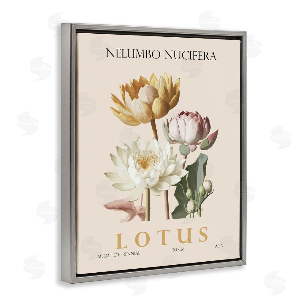Christopher Giampietro Natural Lotus Bundle Gray Floating Frame Canvas Wall Art Print