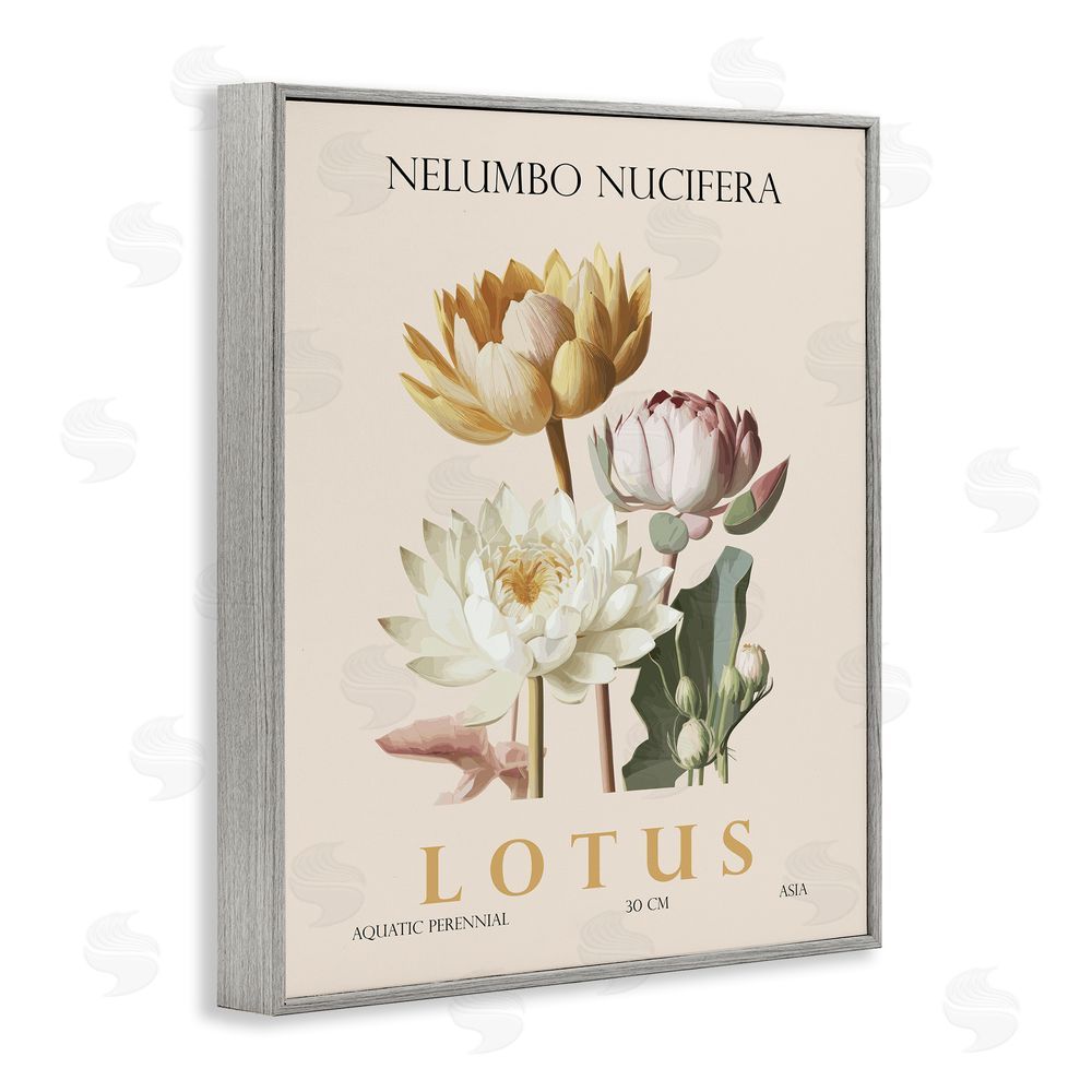 Christopher Giampietro Natural Lotus Bundle Gray Framed Giclee Wall Art Print