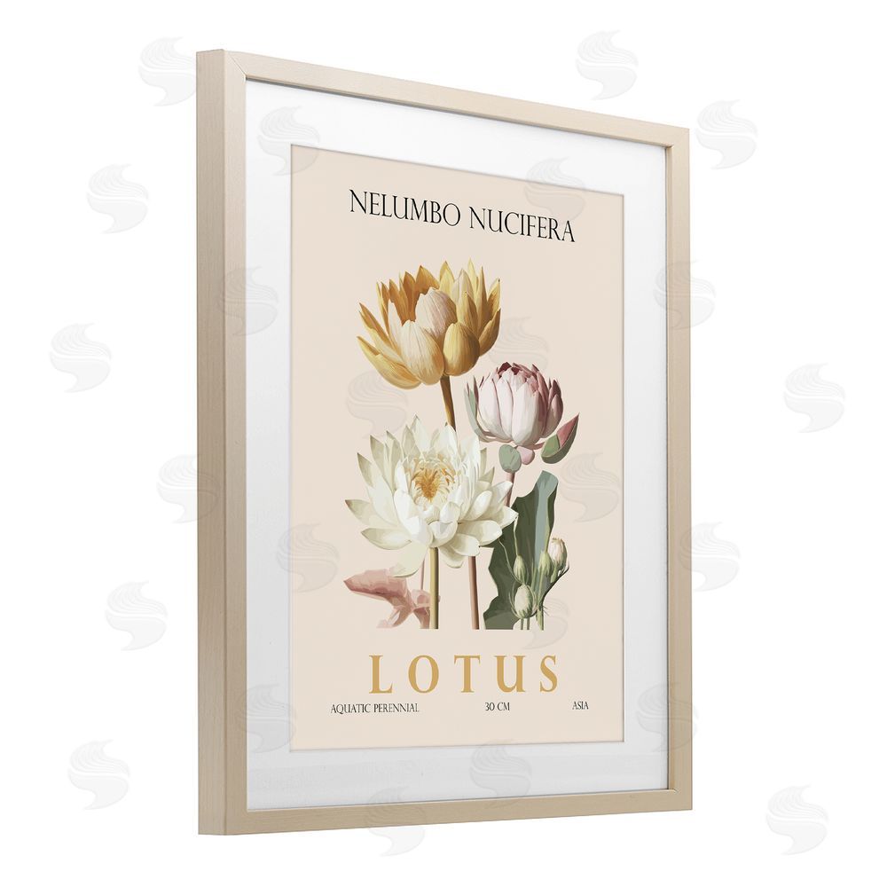 Christopher Giampietro Natural Lotus Bundle Birch Framed Print Under Glass Wall Art
