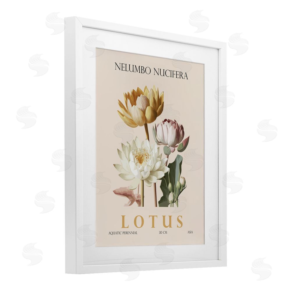 Christopher Giampietro Natural Lotus Bundle White Framed Print Under Glass Wall Art