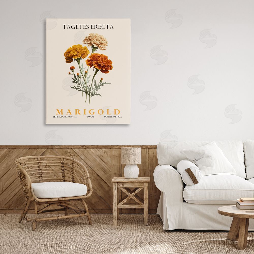 Christopher Giampietro Natural Marigold Bundle Stretched Canvas Wall Art in Room
