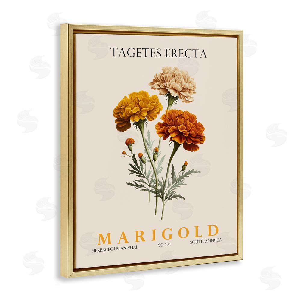 Christopher Giampietro Natural Marigold Bundle Gold Floating Frame Canvas Wall Art Print