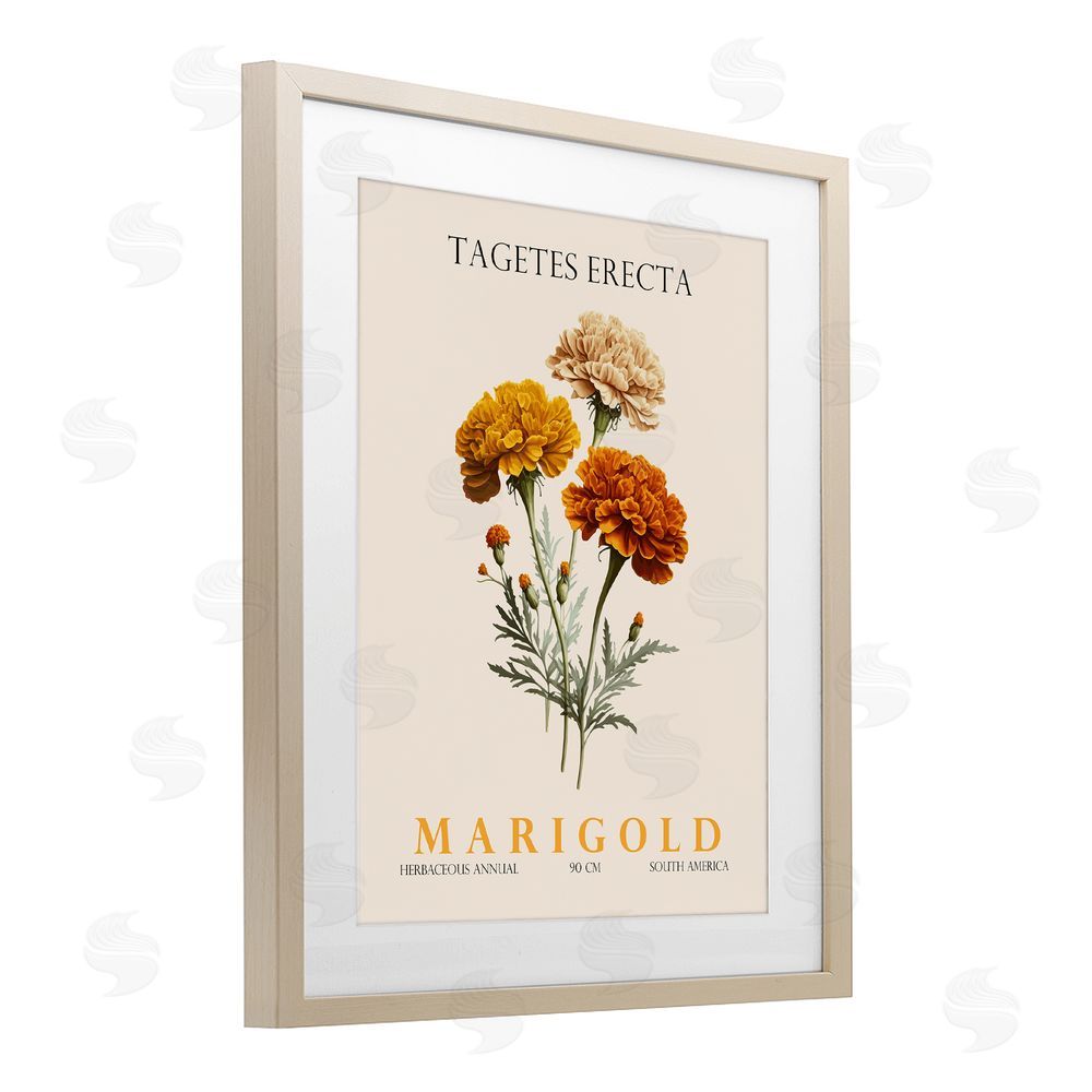 Christopher Giampietro Natural Marigold Bundle Birch Framed Print Under Glass Wall Art