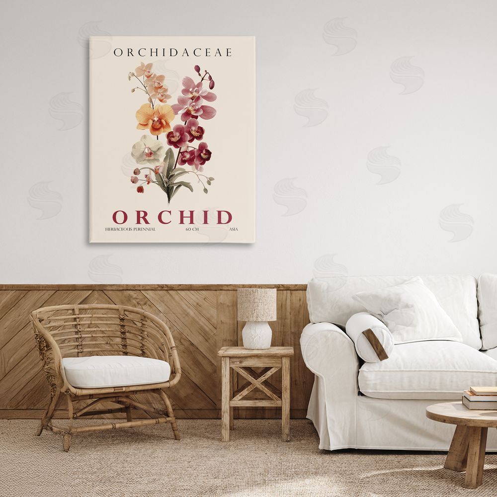 Christopher Giampietro Natural Orchid Bundle Stretched Canvas Wall Art in Room